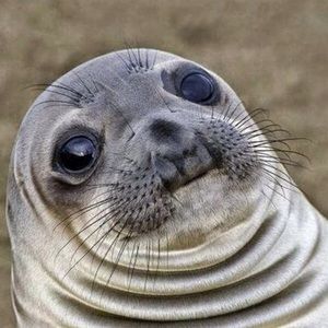 Meet your Posher, Valerie